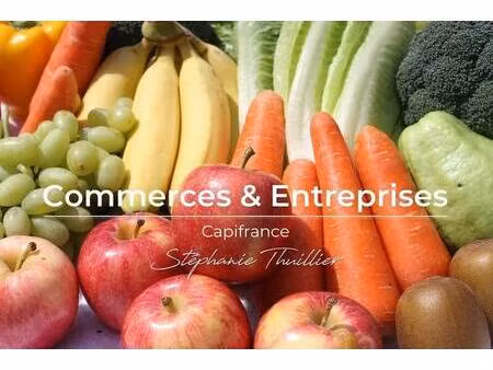 thuillier stephanie capifrance