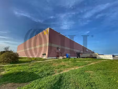 entrepôt à louer