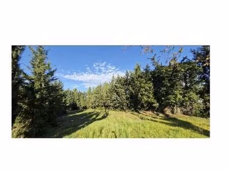 terrain constructible viabilisé à vendre