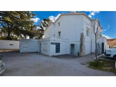 reina immobilier