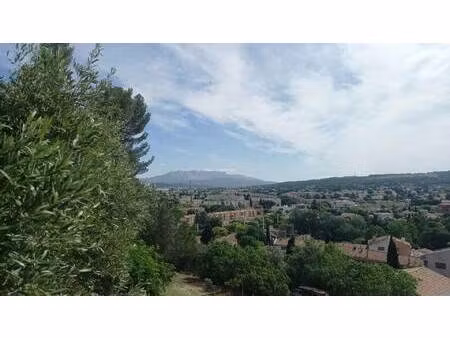 perottino immobilier