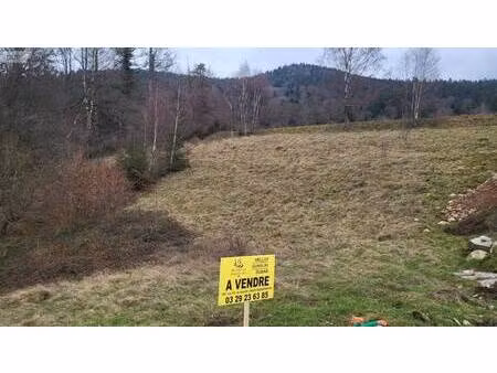 terrain constructible à vendre