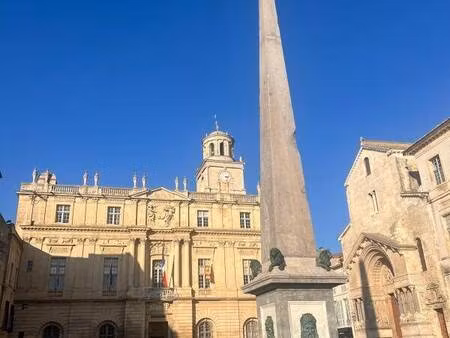 new sky immobilier