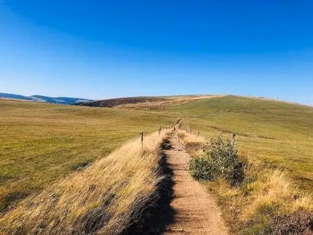 restaurant à vendre