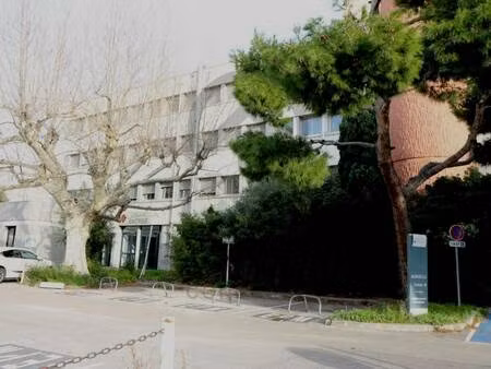 local d'activités à louer