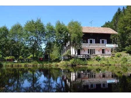 hôtel particulier à vendre