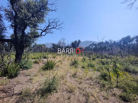 achat terrain 8 000m² st andre 66690
