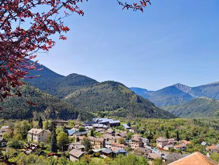 achat local commercial 53m² valdeblore 06420