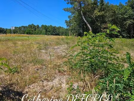 terrain constructible