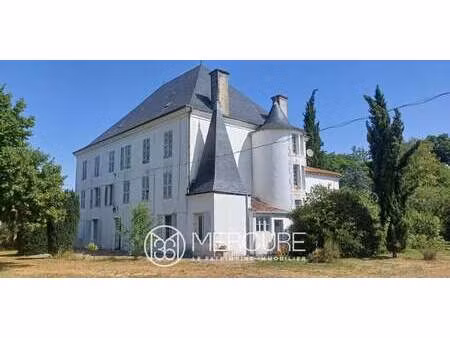 manoir les gours (16)