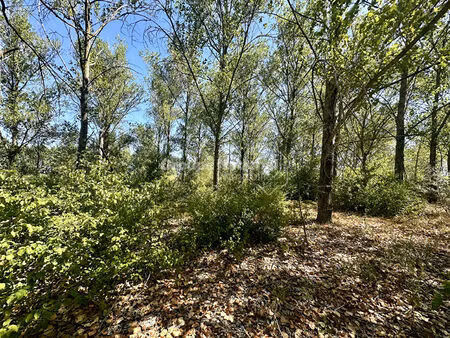 mazet sur terrain agricole marsillargues