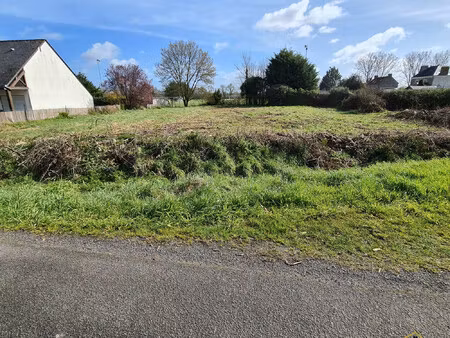 achat terrain 1 025m² lavau sur loire 44260