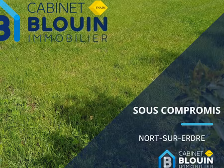 terrain nort sur erdre