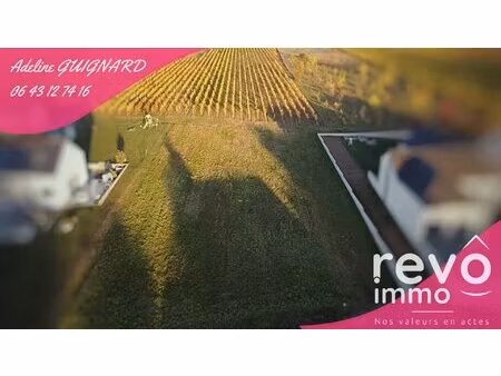 terrain constructible