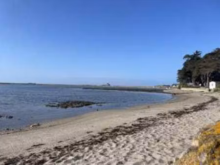 vente terrain à sarzeau (56370) : à vendre / 626m² sarzeau