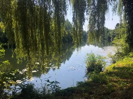 terrain à vendre en bord de rivière (24)