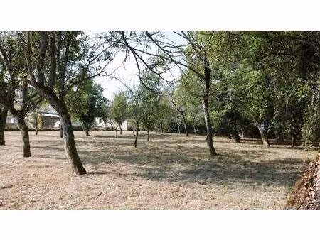 terrain constructible viabilisé à vendre