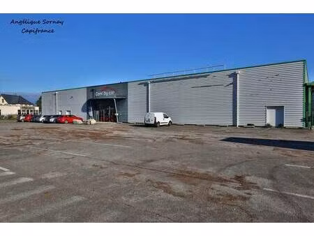 sornay angélique capifrance