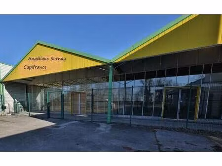 sornay angélique capifrance