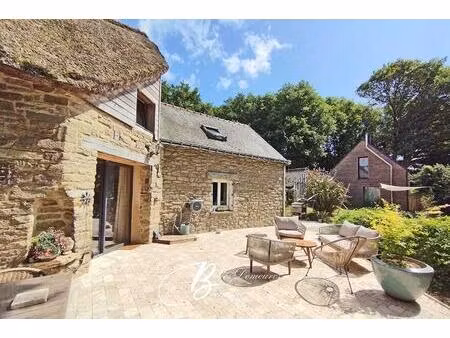 a vendre ensemble de charme avec chaumière et gîte