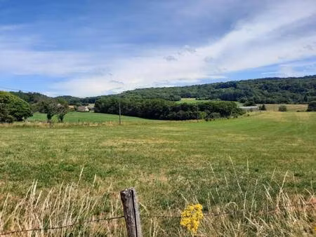 terrain constructible viabilisé à vendre