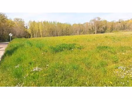 terrain à vendre