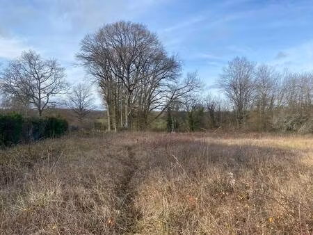 terrain à vendre