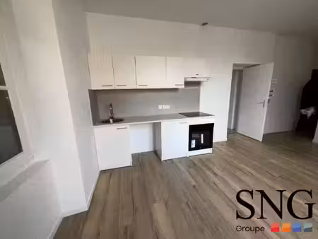 s.n.g immobilier
