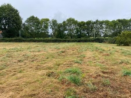 terrain constructible viabilisé à vendre