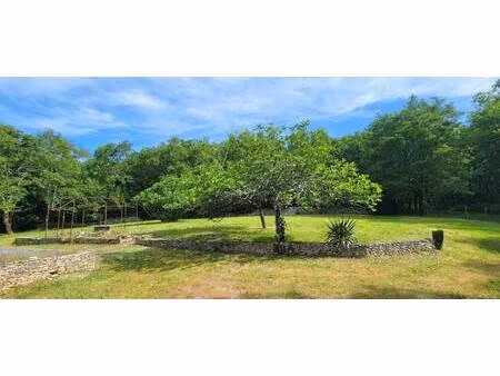 mme. géraldine wittmann