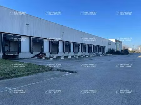 entrepôt à louer