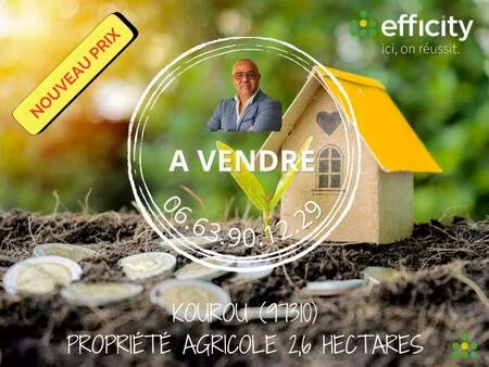 terrain constructible viabilisé à vendre