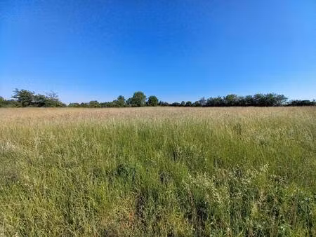 terrain constructible viabilisé à vendre