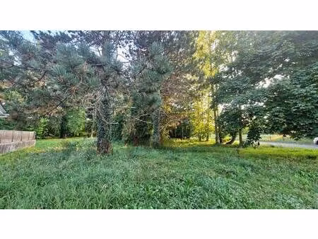 terrain constructible à vendre