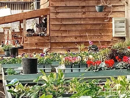 laborde lionel - lf immo by lf