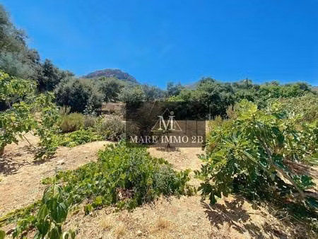 terrain constructible viabilisé à vendre