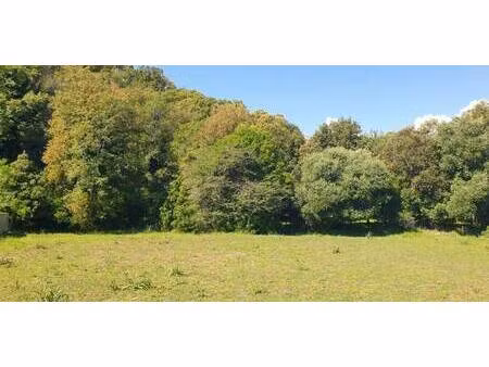 terrain constructible à vendre