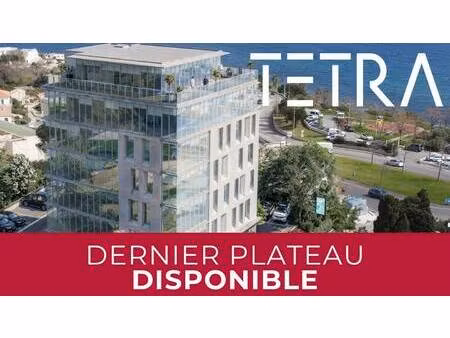gour immobilier conseil
