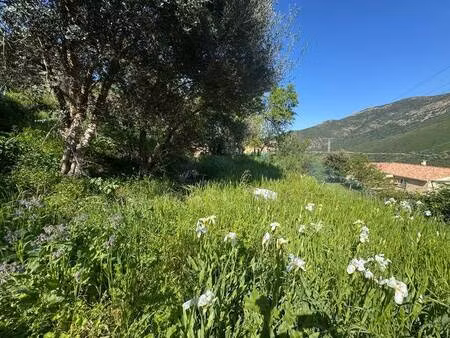 terrain constructible viabilisé à vendre