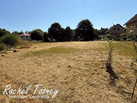 tosney rachel capifrance