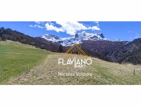 terrain constructible viabilisé à vendre