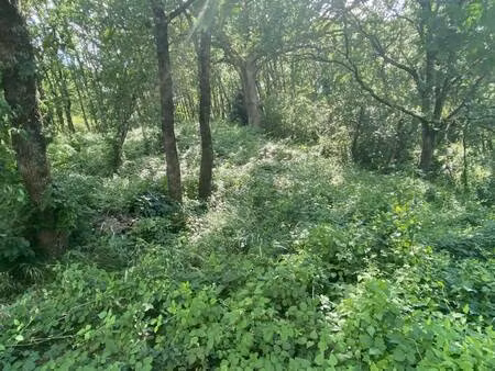 terrain constructible à louer