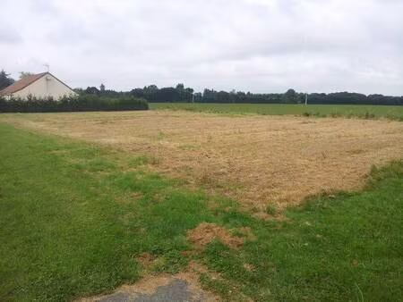 terrain constructible viabilisé à vendre