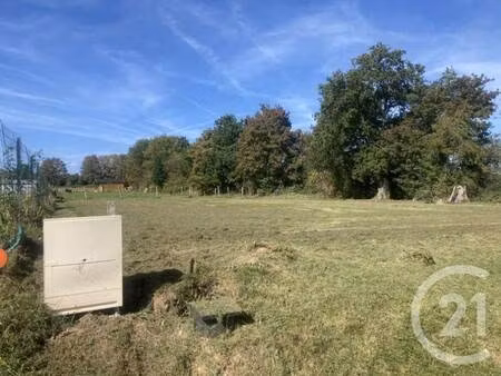 terrain constructible viabilisé à vendre