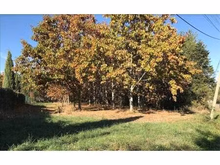 terrain constructible à vendre