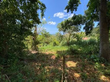 terrain constructible à vendre