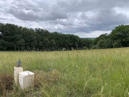 terrain constructible viabilisé à vendre