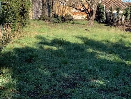 safti zambonati laffitte nathalie conseiller indépendant