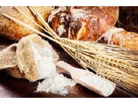 boulangerie / pâtisserie à vendre