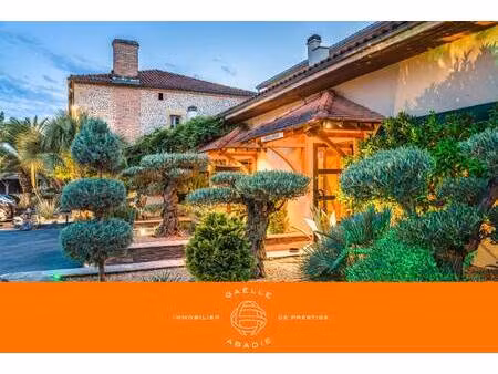 hôtel particulier à vendre